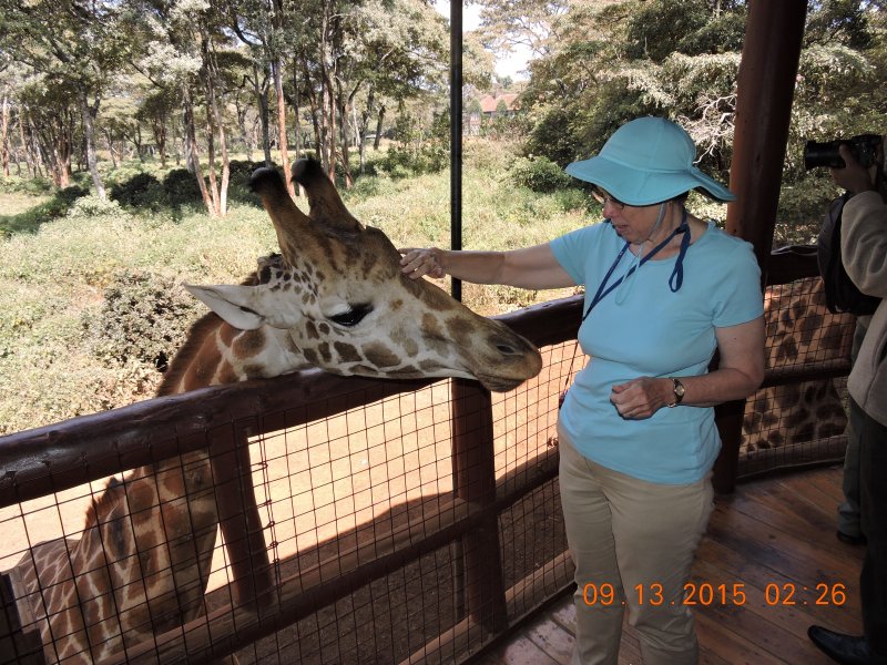 929 Giraffe with Suzanne