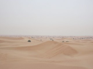 537 Desert