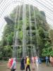 403 Cloud Forest